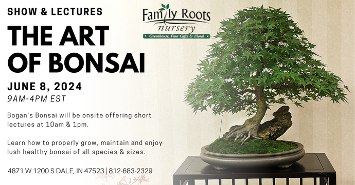 Family Roots Nursery Presents: A Celebration of Bonsai Mastery at Annual Bonsai Show