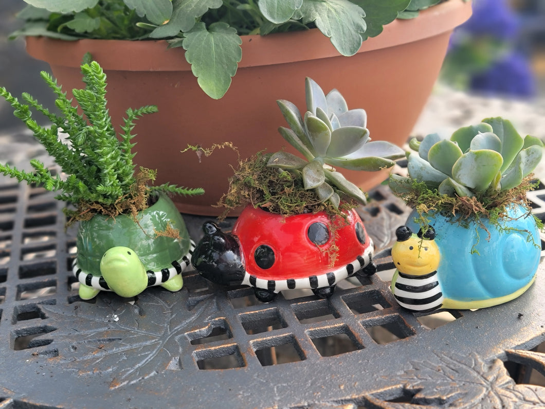 Kids Make & Take: Spring Friends & Succulents - May 18