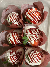 Load image into Gallery viewer, Locally Made Amish Cheesecake & Cheese Cupcakes