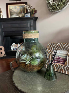 Terrarium Make & Take Workshop - January 25