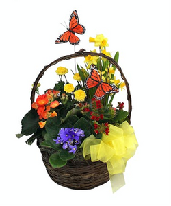 Butterfly Blooming Garden Basket