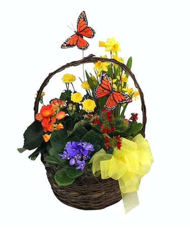 Butterfly Blooming Garden Basket