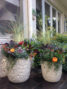Fabulous Fall Planter Workshop - September 17