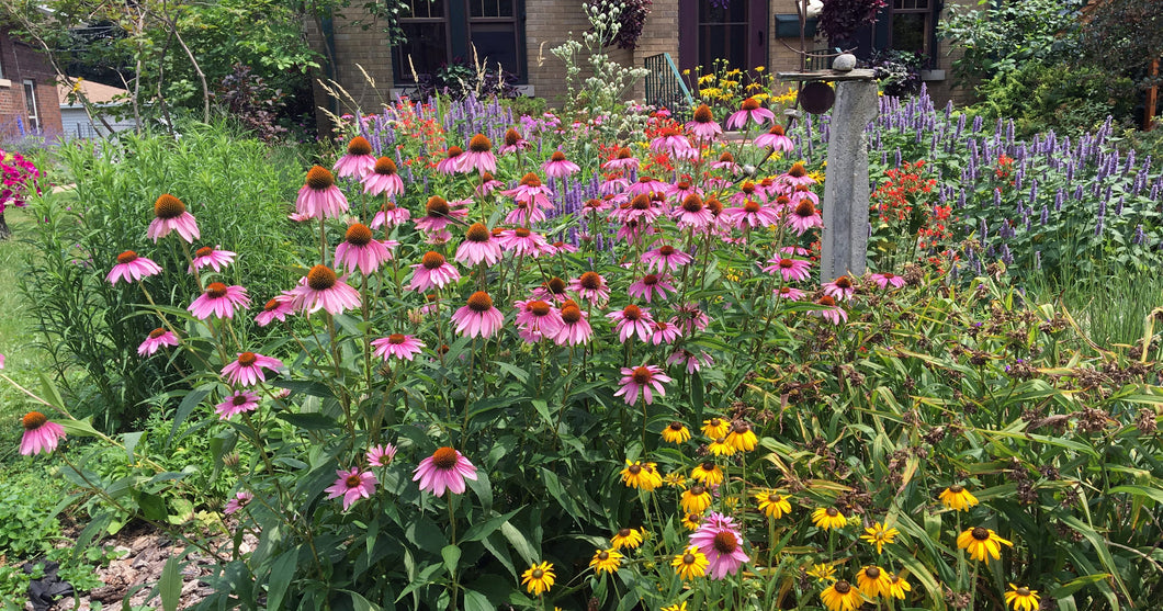 Tuck in the Garden: Preparing Perennials & Vegetable Gardens for Winter - Sept 20