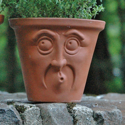 Surprised Face Pot