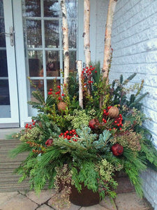 Decorative Holiday Containers - November 9