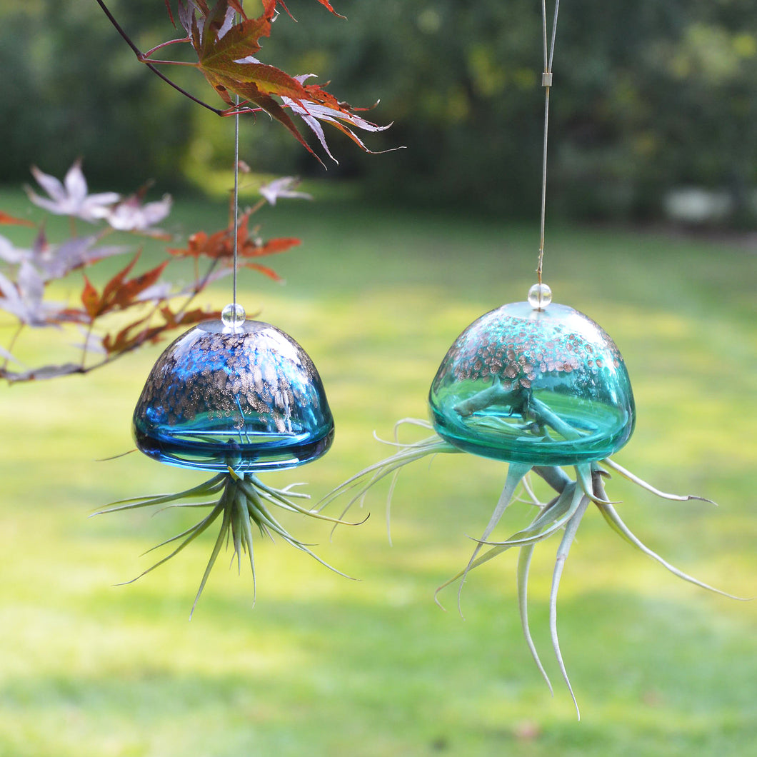 Jelly Fish Air Plant Hangers