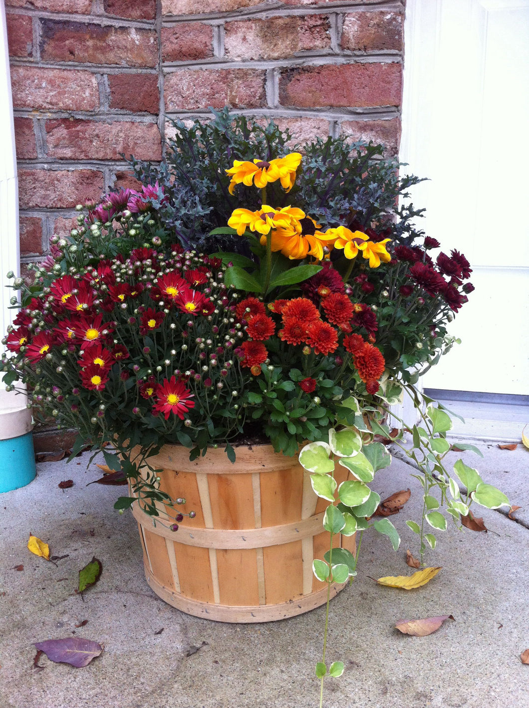 Seasonal Mixed Planter