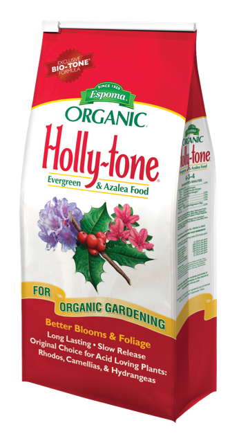Holly Tone