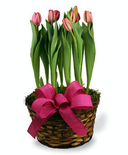 Load image into Gallery viewer, Spring Bulb Basket
