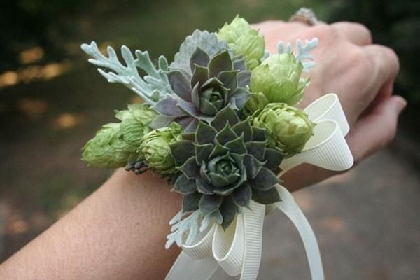 Succulent Corsage Family Roots Nursery Succulent Corsage Family Roots Nursery