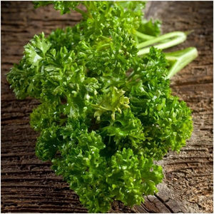 Curled Parsley