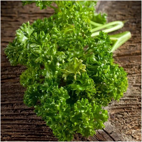 Curled Parsley