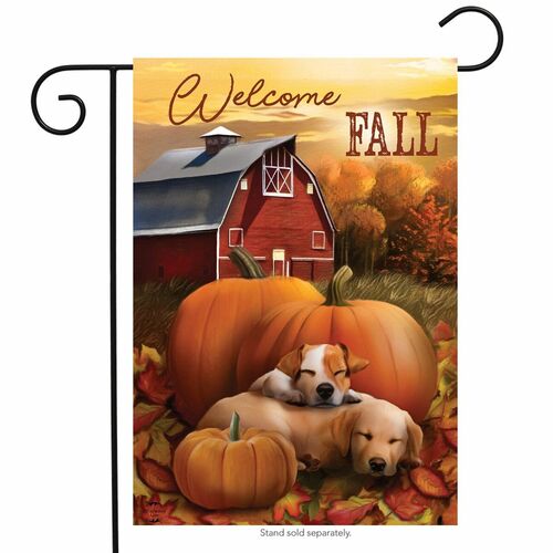 Welcome Fall Pumpkin Flag