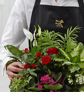 Florist Designed Blooming & Green Plants