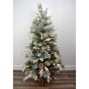 49" Winter Lodge Frosted Mixed Pine Lighted Tree in Crate