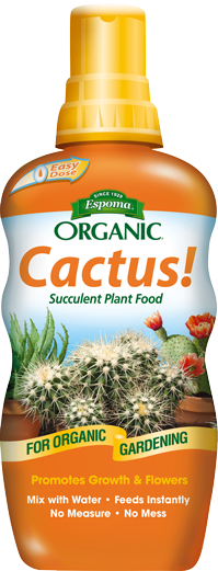 Cactus Food