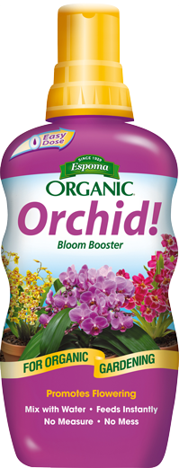 Orchid Food